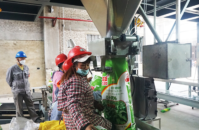 Fertilizer granulation production line improvement project